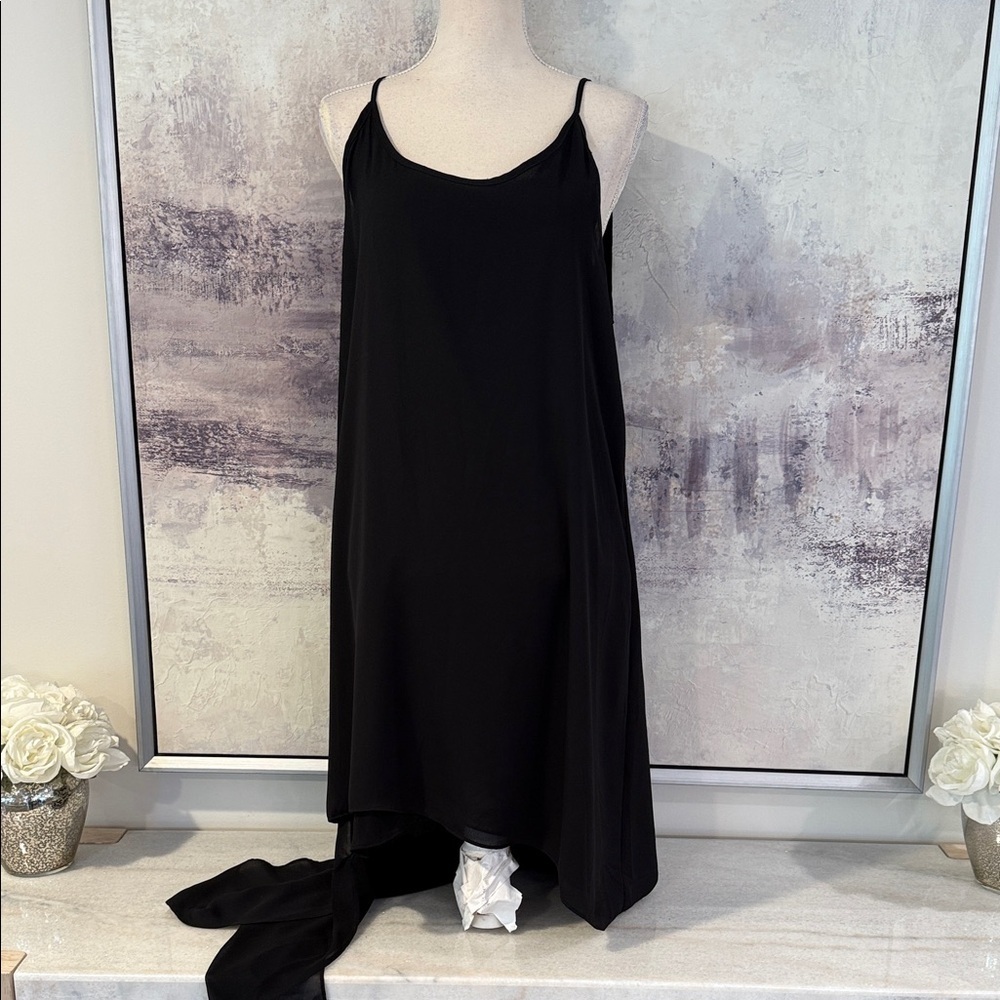 Elegant Black hi-lo Sleeveless Dress